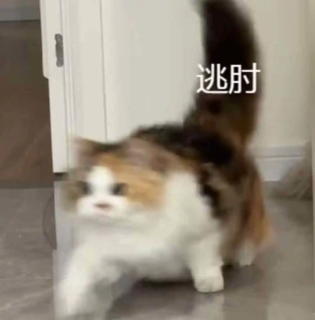 示例图片