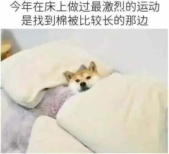 示例图片