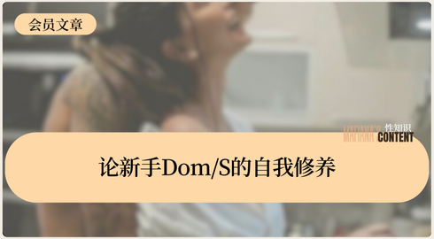 论新手Dom/S的自我修养