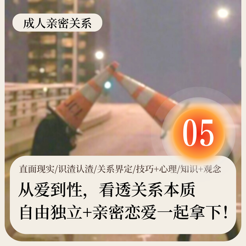 亲密关系课·Chap 5 亲密关系中的性（更新至此）