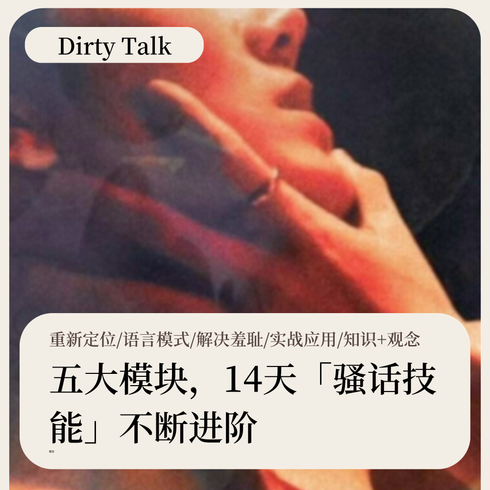 Dirty Talk课·系列课