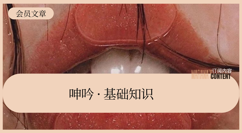 呻吟1️⃣教学｜必看基础知识
